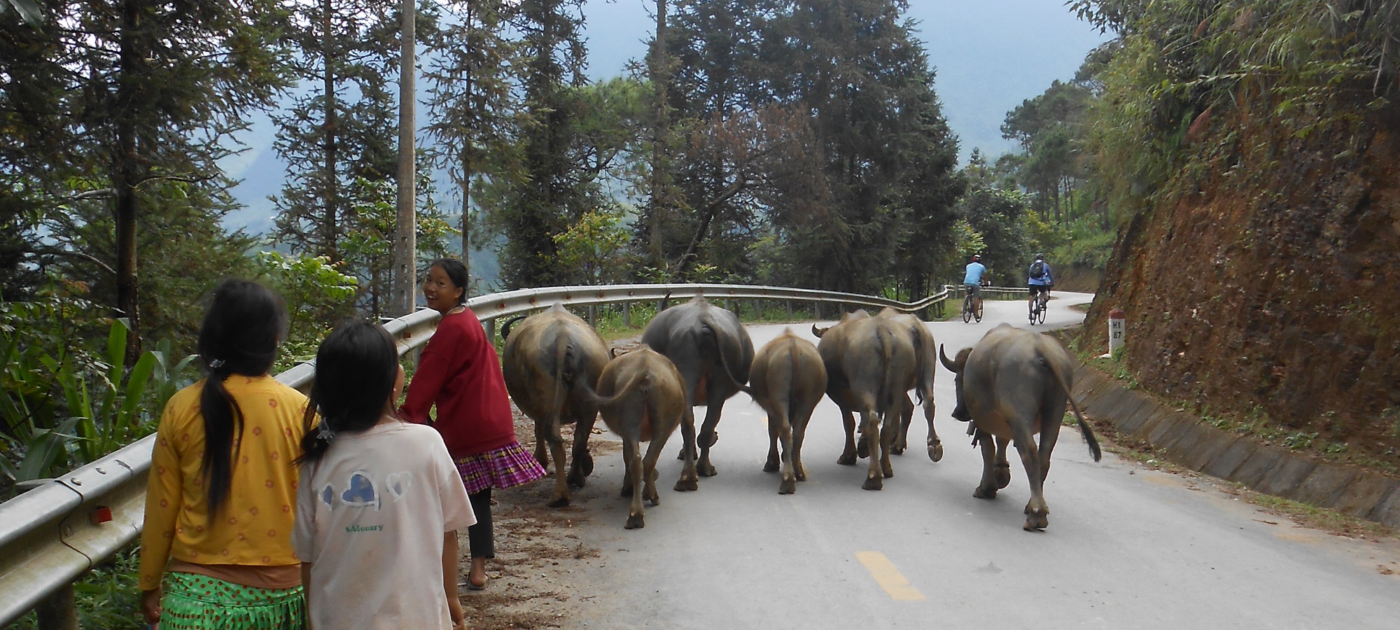 Photos from our Vietnam N.E Cycling Holiday